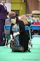 Crufts2011_2 966